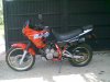 Domi_2010.jpg Domi_2010.jpg