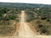 Namibia 2013_021 (Andere).JPG