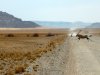 Namibia 2013_187 (Andere).JPG