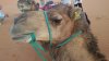 20160420_191616.jpg 20160420_191616.jpg