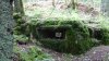 DSC01458 (Andere).JPG DSC01458 (Andere).JPG