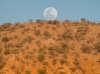 Namibia-16.jpg Namibia-16.jpg