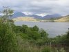 IMG_0709.JPG