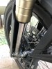 IMG_5710.jpeg IMG_5710.jpeg