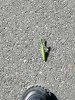 IMG_20191011_190428_971.jpg