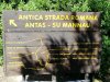 IMG_20191012_172533_777.jpg