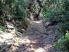 IMG_20191012_172525_899.jpg