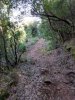IMG_20191012_172522_795.jpg