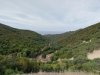 IMG_20191013_203621_464.jpg