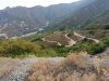 IMG_20191013_203615_741.jpg