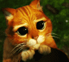 74295.gif
