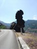 IMG_20200710_175833_338.jpg