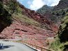 IMG_20200710_175853_282.jpg