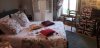 IMG_20200815_175634.jpg
