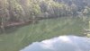 IMG_20200816_124949.jpg