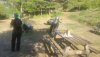 IMG_20200820_095920.jpg