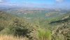 IMG_20200820_105740.jpg