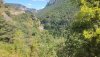 IMG_20200820_143355.jpg