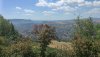 IMG_20200820_151219.jpg