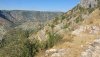 IMG_20200821_100138.jpg