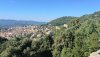 IMG_20200825_094241.jpg