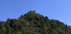 IMG_20200825_152924.jpg