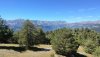 IMG_20200826_140436.jpg