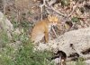 IMG_20201024_185415_924.jpg