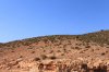 IMG_5054044.jpg