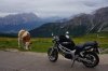 DSC01594.JPG DSC01594.JPG