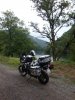 DSC03581 (Copy).JPG