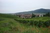 DSC03606.JPG