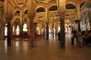 IMG_7642.jpg