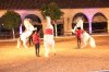 IMG_7780.jpg