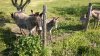 WP_20150425_009.jpg