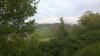 WP_20150501_001.jpg
