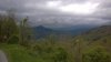 WP_20150501_008.jpg