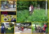 Meine Bilder2.jpg Meine Bilder2.jpg