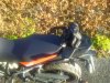 WP_20151208_004.jpg