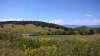 WP_20160505_14_24_51_Pro.jpg