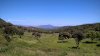 WP_20160505_14_26_10_Pro.jpg